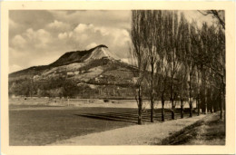 Jena, Der Jenzig - Jena