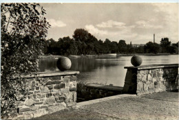 Zwickau I. Sa., Blick Auf Den Schwanenteich - Zwickau