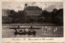 Zwickau, Schwanenteich Mit Schwanenschloss - Zwickau