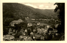 Gruss Aus Schwarzburg, Blick Auf Den Ort - Saalfeld