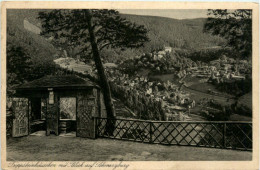 Trippsteinhäuschen Mit Blick Auf Schwarzburg - Saalfeld