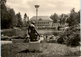 Radiumbad Brambach, Blick Zur Festhalle - Bad Brambach