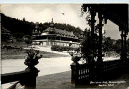 Alexisbad/Harz, Genesungsheim Geschw. Scholl - Harzgerode