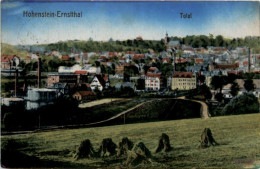 Hohenstein-Ernstthal, Total - Hohenstein-Ernstthal