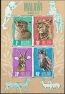 THEMATIC WILD FAUNA:  MALAWI ANIMALS. THICK-TAILED BUSHBABY, LEOPARD, ROAN ANTELOPE, COMMON ZEBRA    MS    -  MALAWI - Felinos