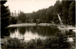 Waldbad Auerbach-Brunn Vogtl., - Auerbach (Vogtland)