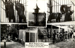 Bad Schandau, Bärenzwinger, Div. Bilder - Bad Schandau