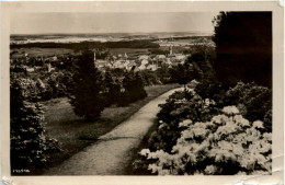 Kamenz, Blick Vom Hutberg, Aaleen Anlagen - Kamenz