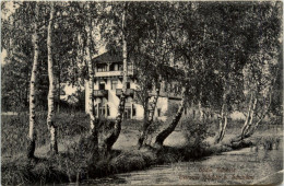 Bad Schandau, Ostrauer Scheibe - Bad Schandau