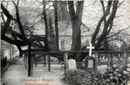 Annaberg-Buchholz, Auferstehungslinde - Annaberg-Buchholz