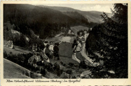 Kurort Wildemann Oberharz, Im Spiegeltal - Wildemann