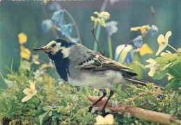 Animaux - Oiseaux - Carte Dentelée - CPSM Grand Format - Voir Scans Recto-Verso - Oiseaux