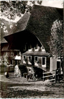 Schwarzwälder Bauernhaus In Menzenschwand - St. Blasien