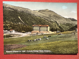 Cartolina - Dintorni Di Aprica - Colonia Bustese Carlo Comerio - 1970 - Sondrio