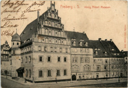 Freiberg, König Albert-Museum - Freiberg (Sachsen)