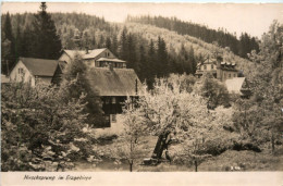 Hirschsprung Bei Altenberg I.Erzgeb. - Altenberg