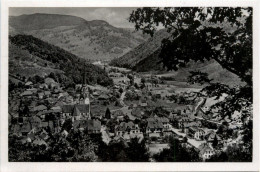 Kurort Schönau Schwarzwald - Loerrach