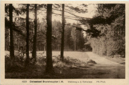 Seebad Brunshaupten, Waldweg An Der Rehwiese - Kuehlungsborn