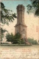 Rochlitz, Turm Des Rochlitzer Berges - Rochlitz