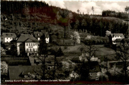 Bad Gottleuba-Berggiesshübel, Ortsteil Zwiesel, Teilansicht - Bad Gottleuba-Berggiesshuebel