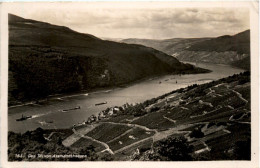 Das Tal Von Assmannshausen - Rüdesheim A. Rh.