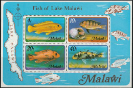 THEMATIC FAUNA:  FISH OF LAKE MALAWI.  BLUE-GREY MBUNA, LIVINGSTONE MBUNA, ZEBRA MBUNA, SCALE-EATER    MS   - MALAWI - Poissons