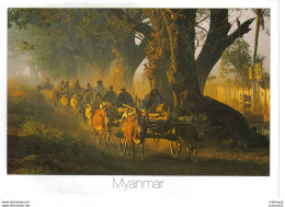 Thailand Thailande Myanmar Caravan Carrying Logs Photo Jatuporn Rutnin Attelages Boeufs Ou Vaches - Equipos