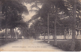 AFRIQUE - DAHOMEY - COTONOU - Allée Allant Au Palais De Justice - Dahomey