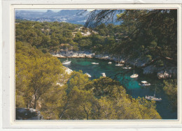 121 DEPT 13 : édit. Agep : Cassis Sur Mer Calanque De Port Pin - Cassis