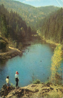 Postcard Romania Lacul Rosu - Romania