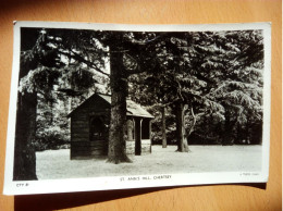 St Ann's Hill, Chertsey. Tuck's Post Card (13503) - Surrey