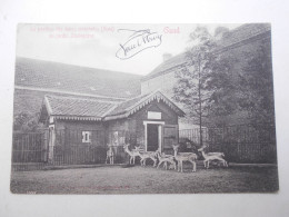 Cpa Gent Gant Le Pavillon Des Daims Mouchetés  Au Jardin Zoologique (zoo ) 1905 - Gent