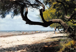 ANDERNOS LES BAINS La Plage 22(scan Recto-verso) MA716 - Andernos-les-Bains