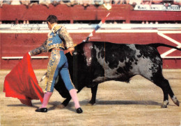 TOROS  EL CORDOBES Passe De Poitrine A La Droite 36(scan Recto-verso) MA755 - Corridas