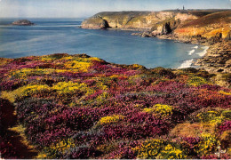 LE CAP FREHEL Reserve Biologique Lande Et Bruyere Au Fond Le Cap Frehel Et Le  Phare 15(scan Recto-verso) MA785 - Cap Frehel