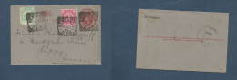 SOUTH AFRICA. 1901 (27 Nov) CGH, Newlands - Germany, Leipzig. 1d Red Stat Lettersheet + 2 Adtls. - Autres & Non Classés