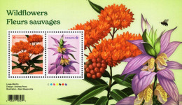 Canada - 2024 - Wild Flowers - Asclepias Tuberosa And Monarda Punctata - Mint Souvenir Sheet - Nuovi