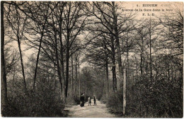 ECOUEN  -  95  -  Avenue De La Gare Dans Le Bois - Ecouen