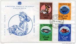 1962  LETTERA MOGADISCIO - Somalie (1960-...)