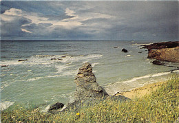 BRETIGNOLLES SUR MER Rocher Ste Veronique 13(scan Recto-verso) MA843 - Bretignolles Sur Mer