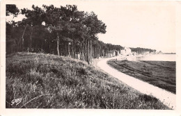 MARENNES Le Bois De Pins Et La Plage 33(scan Recto-verso) MA837 - Marennes