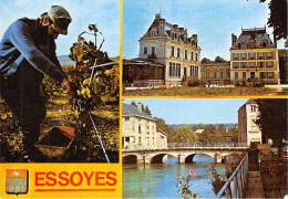 ESSOYES Cueillette Du Raisin Le Chateau Le Pont De L Ource 2(scan Recto-verso) MA875 - Essoyes