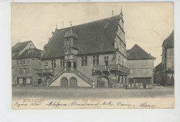 MOLSHEIM - Alte Metzig - Molsheim