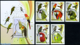Romania 2011 Parrots 5v + S/s, Mint NH, Nature - Birds - Parrots - Unused Stamps