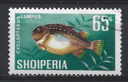 Albania 1967 Fish Y.T. 959  (0) - Albanie