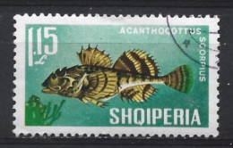 Albania 1967 Fish Y.T. 961  (0) - Albanie