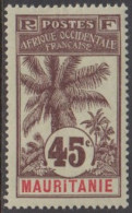 Mauritanie 1906-1912 - N° 11 (YT) N° 11 (AM) Neuf *. - Ungebraucht