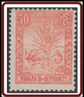 Madagascar 1889-1906 - N° 71 (YT) N° 66 (AM) Neuf *. - Unused Stamps