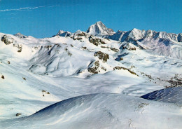 Crans Montana - Les Champs De Ski Et Le Bietschhorn - Crans-Montana