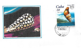 Coquillage Liguus Vittatus (Parque  Nacional Desembarco Del Granma)  Sur Lettre Cuba - Coneshells